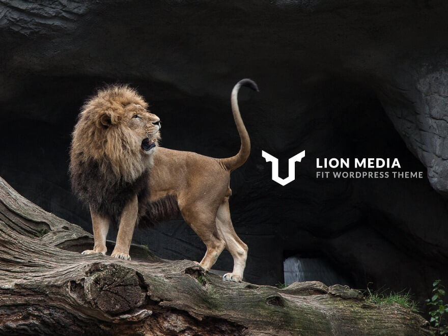 WordPressのLION MEDIAでリンクテキストの文字の色や下線を変更する方法